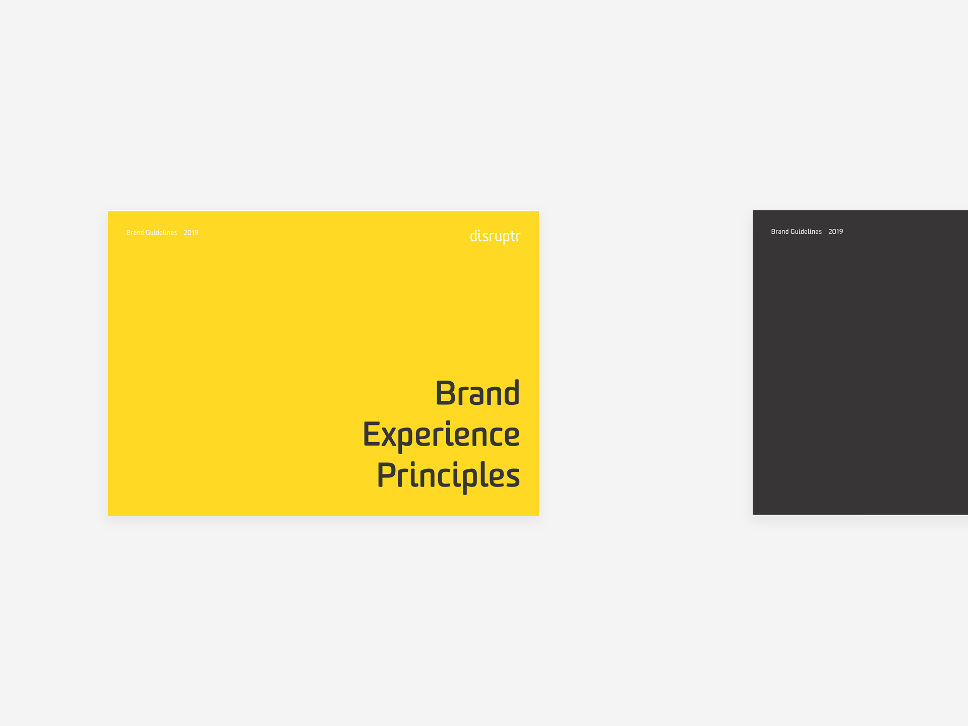 disruptr brand experience doc