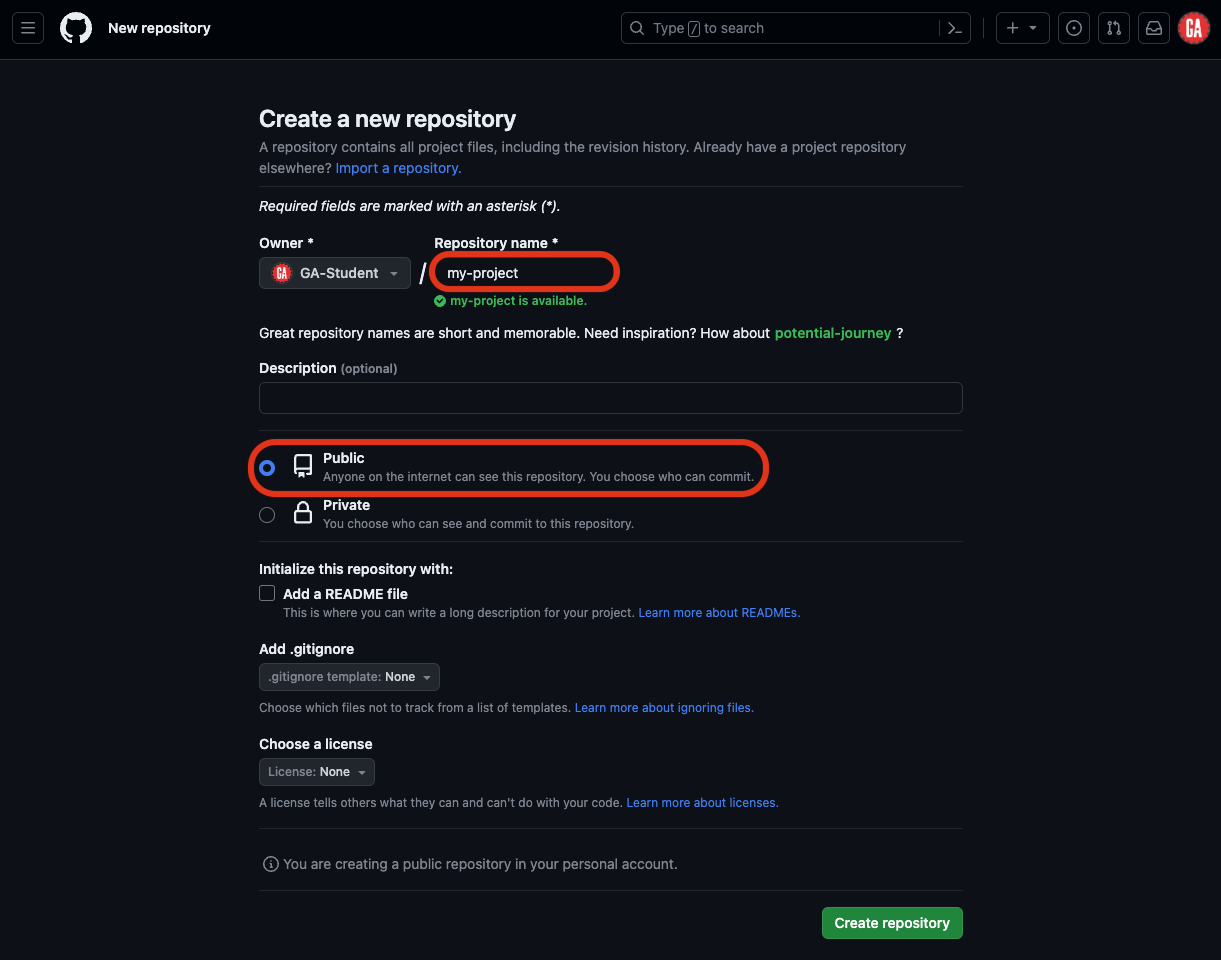The repository is given a name, and is made publicly accessible.