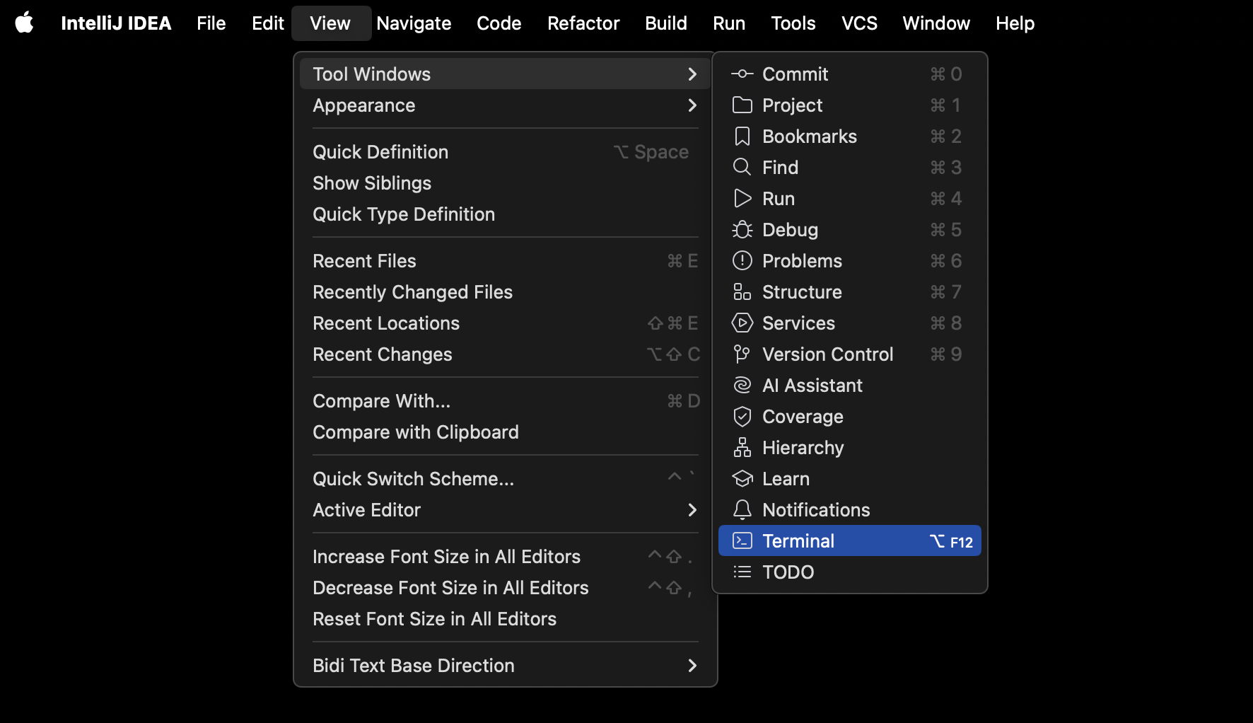 The Terminal option found in the main menu
