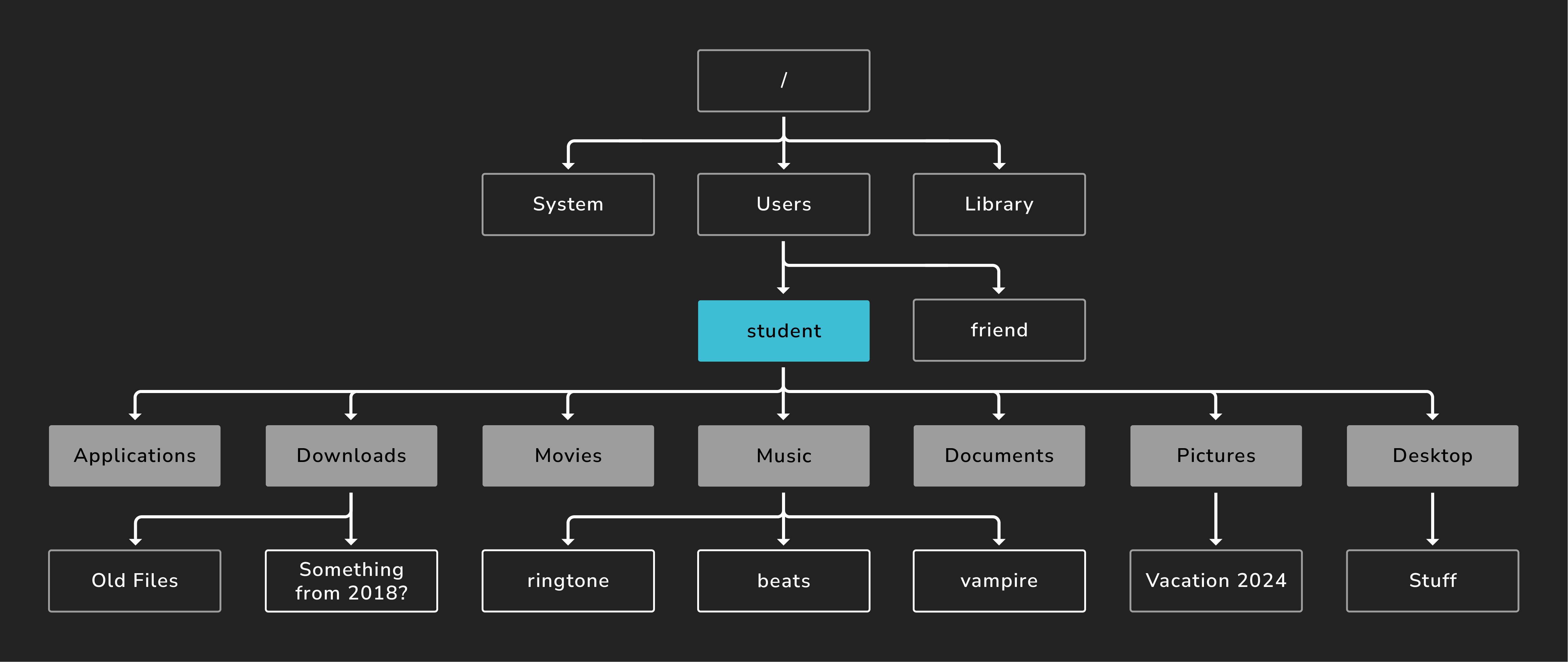 A diagram of what we're able to view by running the ls command in the student directory in the context of the rest of the file system