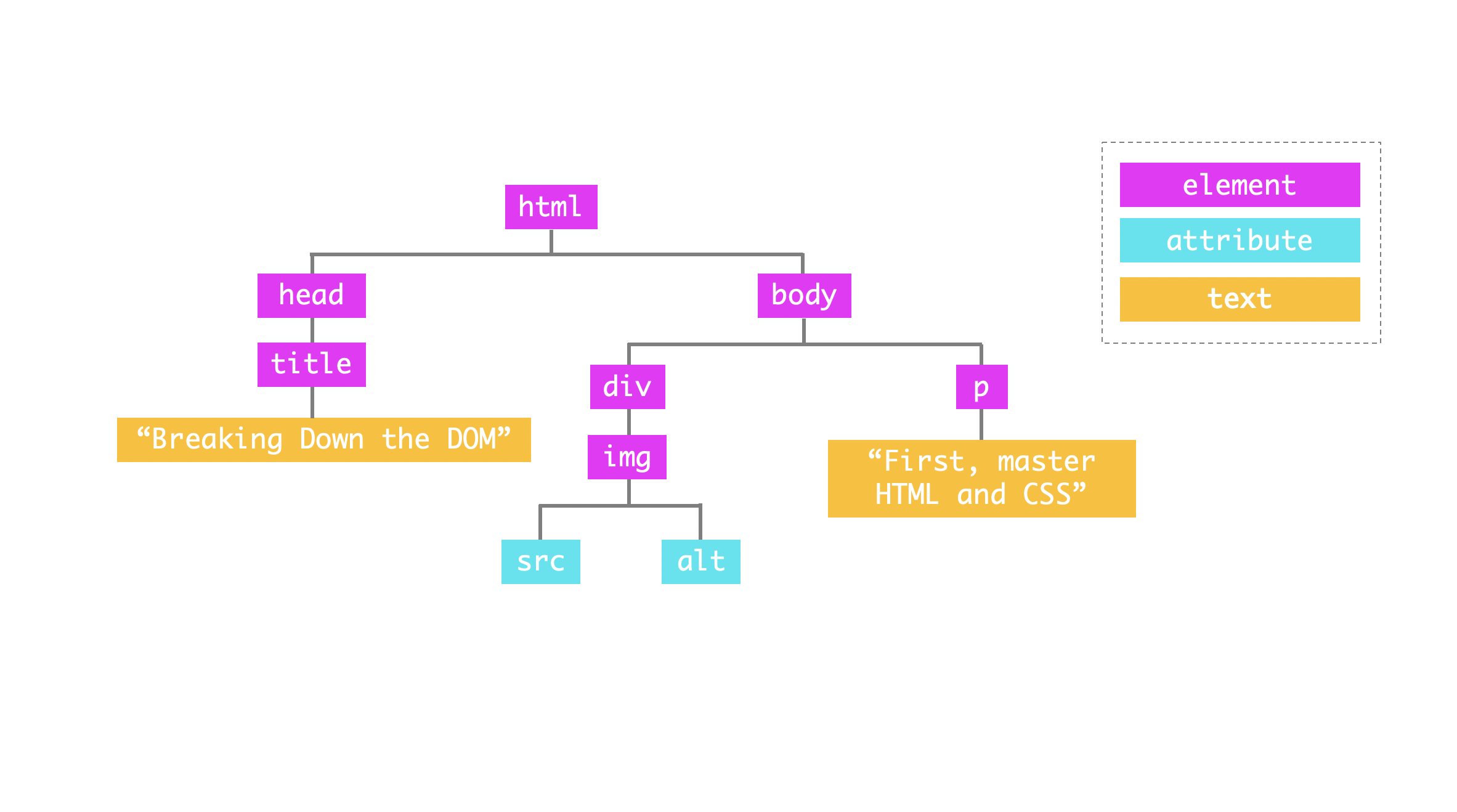 Basic DOM tree 3